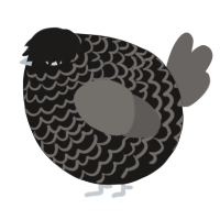 A sable and grey chicken with a lace pattern