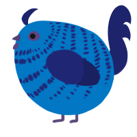 A sapphire and navy chicken with a bar pattern