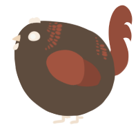 A bark and russet chicken with a neck-band pattern