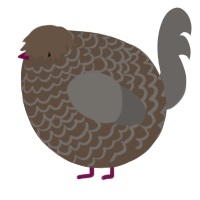A bark and grey chicken with a lace pattern
