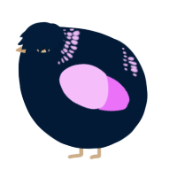 A tumblr and lavender chicken with a neck-band pattern