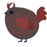 A grey and red chicken with a double-lace pattern