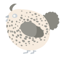 A cream and ash chicken with a speckle pattern