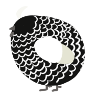 A black and white chicken with a lace pattern