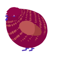 A maroon and red chicken with a bar pattern