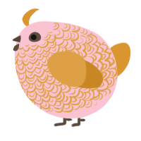 A rose and orange chicken with a double-lace pattern
