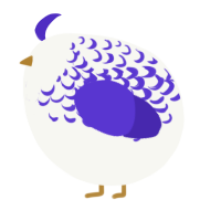 A white and indigo chicken with a half-lace pattern