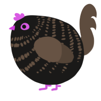 A sable and bark chicken with a bar pattern