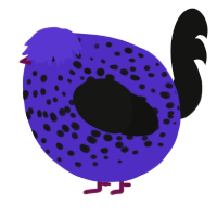A indigo and black chicken with a speckle pattern