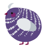 A overcast and mist chicken with a bar pattern
