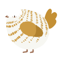 A white and gold chicken with a bar pattern