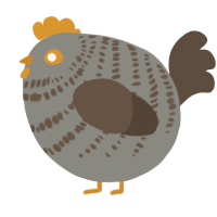 A ash and bark chicken with a bar pattern