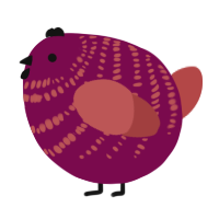 A wine and red chicken with a bar pattern