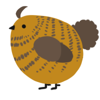 A ochre and bark chicken with a bar pattern