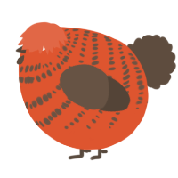 A vermilion and bark chicken with a bar pattern
