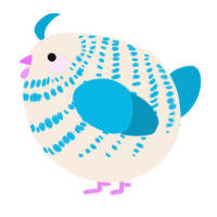 A cream and cerulean chicken with a bar pattern
