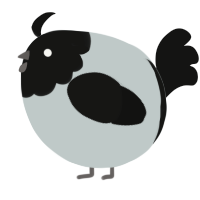 A silver and black chicken with a head pattern