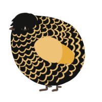 A black and honey chicken with a lace pattern