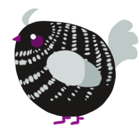 A sable and silver chicken with a bar pattern