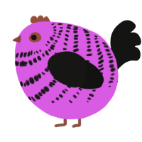 A orchid and black chicken with a bar pattern
