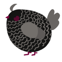 A black and grey chicken with a lace pattern