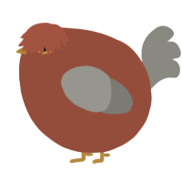 A russet and ash chicken