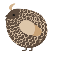 A bark and beige chicken with a lace pattern