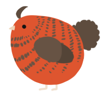 A vermilion and bark chicken with a bar pattern