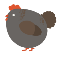 A grey and bark chicken with a neck-band pattern