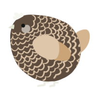 A bark and beige chicken with a lace pattern
