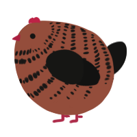 A russet and black chicken with a bar pattern