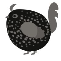 A black and grey chicken with a speckle pattern