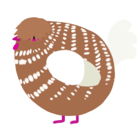 A brown and white chicken with a bar pattern