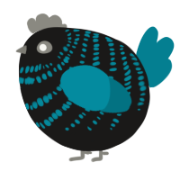A sable and sea chicken with a bar pattern