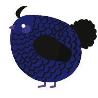 A navy and black chicken with a lace pattern
