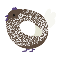 A bark and white chicken with a double-lace pattern