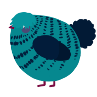 A teal and tumblr chicken with a bar pattern