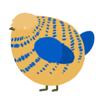 A honey and ultramarine chicken with a bar pattern