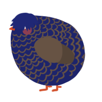 A navy and bark chicken with a lace pattern