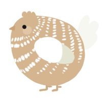 A beige and white chicken with a bar pattern