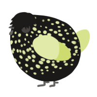 A sable and lemon chicken with a speckle pattern