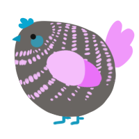 A grey and lavender chicken with a bar pattern