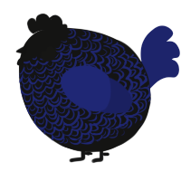 A black and navy chicken with a double-lace pattern