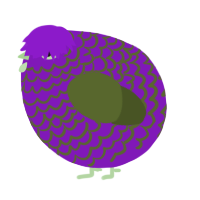 A violet and olive chicken with a lace pattern