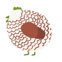 A white and russet chicken with a lace pattern