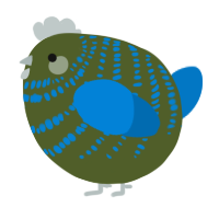 A olive and sapphire chicken with a bar pattern