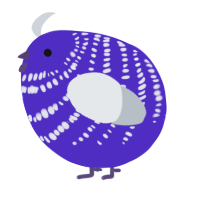 A indigo and mist chicken with a bar pattern