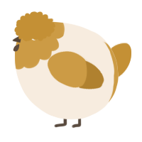 A cream and gold chicken with a head pattern