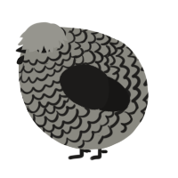 A ash and sable chicken with a lace pattern