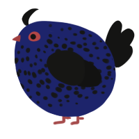 A navy and black chicken with a speckle pattern